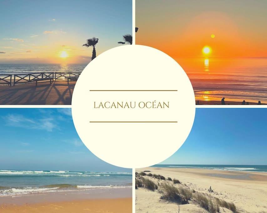 Апартаменты Superbe Vue A 180° Sur L'Ocean Лакано Экстерьер фото